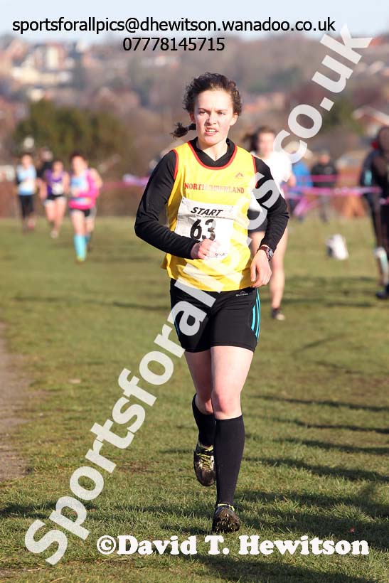 Senior girls 7. Photo: David T. Hewitson/Sports for All Pics